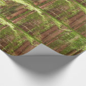 Redwood Trees at Muir Woods National Monument ラッピングペーパー (角)