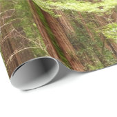 Redwood Trees at Muir Woods National Monument ラッピングペーパー (ロールコーナー)