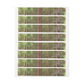 Redwood Trees at Muir Woods National Monument ラップアラウンドラベル (シート)