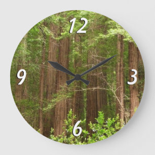 Redwood Trees at Muir Woods National Monument ラージ壁時計