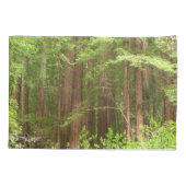 Redwood Trees at Muir Woods National Monument 枕カバー (裏面)