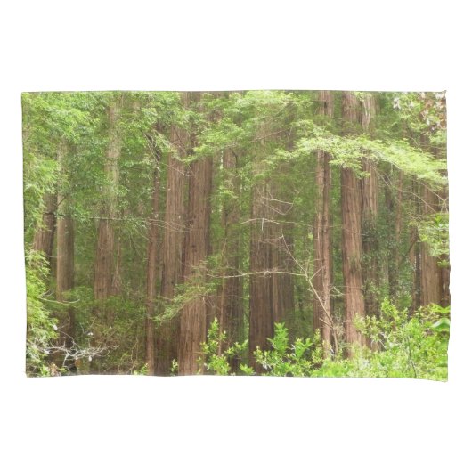 Redwood Trees at Muir Woods National Monument 枕カバー (正面)