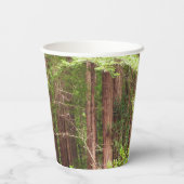 Redwood Trees at Muir Woods National Monument 紙コップ (裏面)