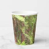 Redwood Trees at Muir Woods National Monument 紙コップ (右)
