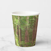 Redwood Trees at Muir Woods National Monument 紙コップ (正面)