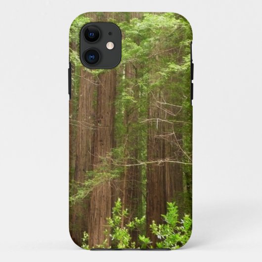 Redwood Trees at Muir Woods National Monument Case-Mate iPhoneケース (裏面)