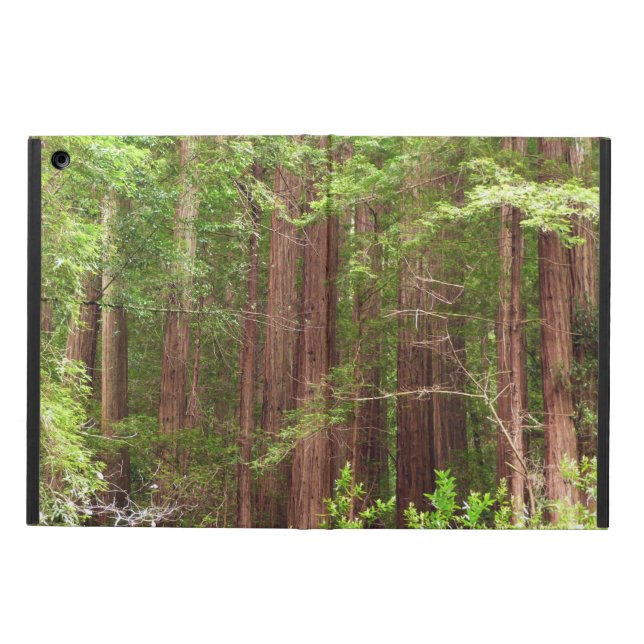 Redwood Trees at Muir Woods National Monument iPad Airケース (外側)