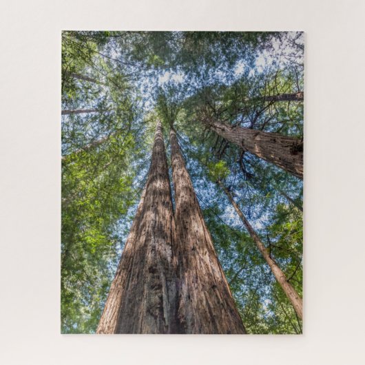 Redwood Trees | Marin County, California ジグソーパズル (縦)