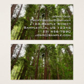 RedwoodsまでMuir Woods National Monument (正面&裏面)