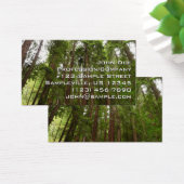 RedwoodsまでMuir Woods National Monument (デスク)