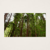 RedwoodsまでMuir Woods National Monument (裏面)