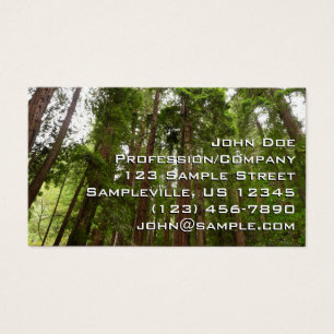 RedwoodsまでMuir Woods National Monument