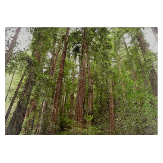 RedwoodsまでMuir Woods National Monument カッティングボード (正面)