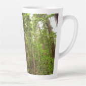 RedwoodsまでMuir Woods National Monument カフェラテマグ (右)