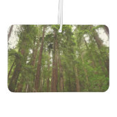 RedwoodsまでMuir Woods National Monument カーエアーフレッシュナー (裏面)