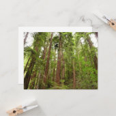 RedwoodsまでMuir Woods National Monument カード (正面/裏面インサイチュ)