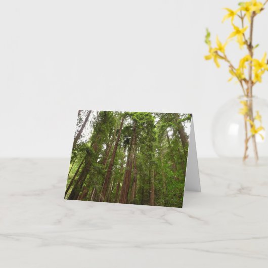 RedwoodsまでMuir Woods National Monument カード (黄色い花)