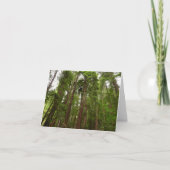 RedwoodsまでMuir Woods National Monument カード (正面)
