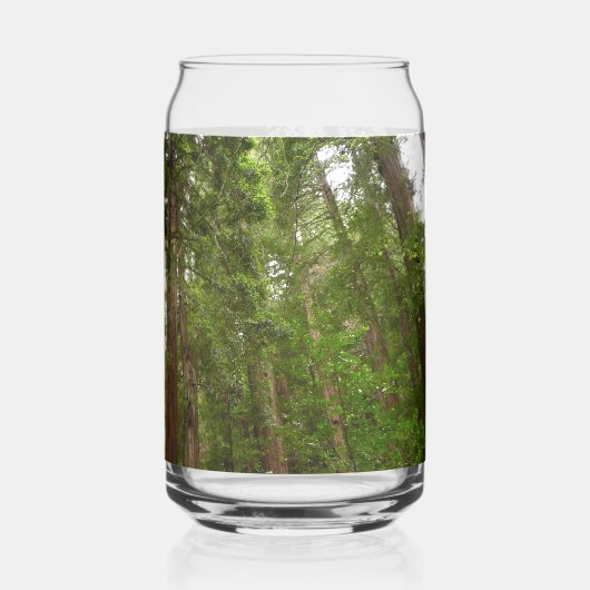 RedwoodsまでMuir Woods National Monument ガラス缶 (裏面)