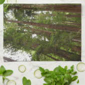 RedwoodsまでMuir Woods National Monument キッチンタオル (折り畳み)
