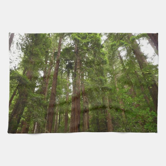 RedwoodsまでMuir Woods National Monument キッチンタオル (横)