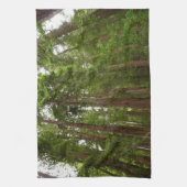 RedwoodsまでMuir Woods National Monument キッチンタオル (縦)