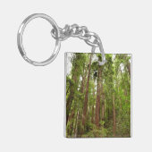 RedwoodsまでMuir Woods National Monument キーホルダー (正面左)