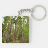 RedwoodsまでMuir Woods National Monument キーホルダー (裏面)