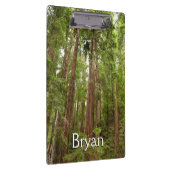 RedwoodsまでMuir Woods National Monument クリップボード (右)