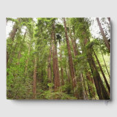 RedwoodsまでMuir Woods National Monument ゲストブック (裏面)