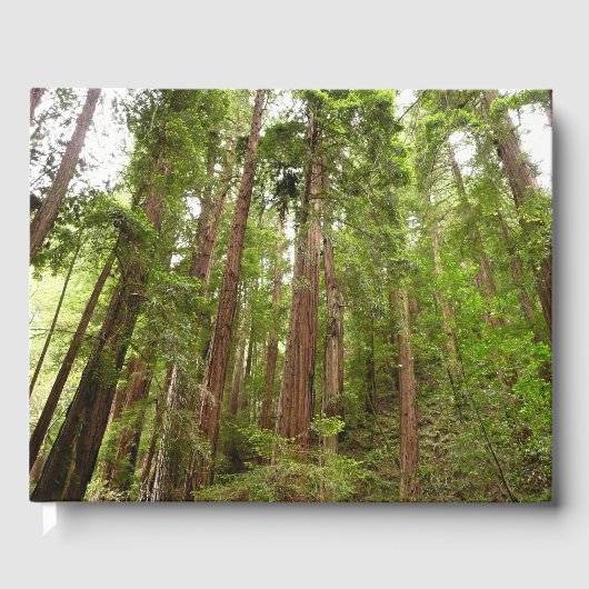 RedwoodsまでMuir Woods National Monument ゲストブック (正面)