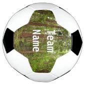 RedwoodsまでMuir Woods National Monument サッカーボール (回転)