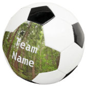 RedwoodsまでMuir Woods National Monument サッカーボール (3/4)