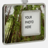 RedwoodsまでMuir Woods National Monument シルバープレートフレームオーナメント (右)