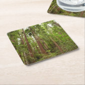 RedwoodsまでMuir Woods National Monument スクエアペーパーコースター (アングル)