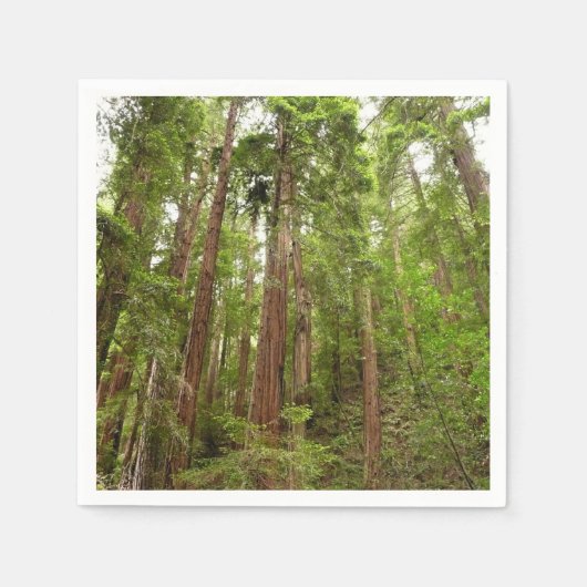 RedwoodsまでMuir Woods National Monument スタンダードカクテルナプキン (正面)