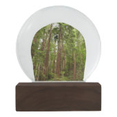 RedwoodsまでMuir Woods National Monument スノーグローブ (裏面)