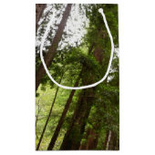 RedwoodsまでMuir Woods National Monument スモールペーパーバッグ (裏面)
