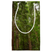 RedwoodsまでMuir Woods National Monument スモールペーパーバッグ (正面)