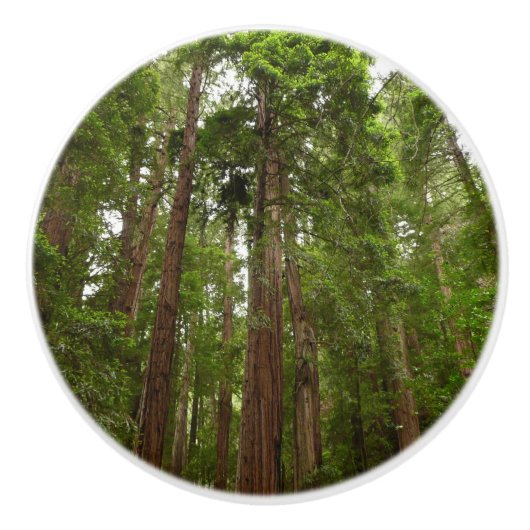 RedwoodsまでMuir Woods National Monument セラミックノブ (正面)