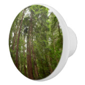 RedwoodsまでMuir Woods National Monument セラミックノブ (右)