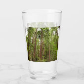 RedwoodsまでMuir Woods National Monument タンブラーグラス (裏面)
