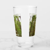 RedwoodsまでMuir Woods National Monument タンブラーグラス (左)