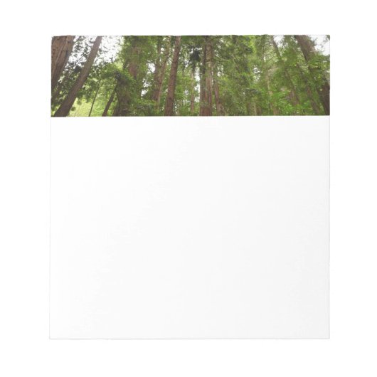 RedwoodsまでMuir Woods National Monument ノートパッド (正面)