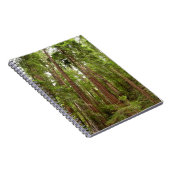 RedwoodsまでMuir Woods National Monument ノートブック (右側)