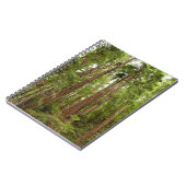 RedwoodsまでMuir Woods National Monument ノートブック (左側)