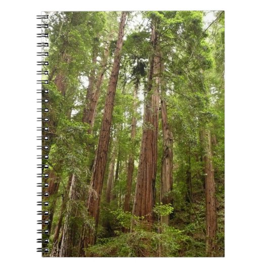 RedwoodsまでMuir Woods National Monument ノートブック (正面)