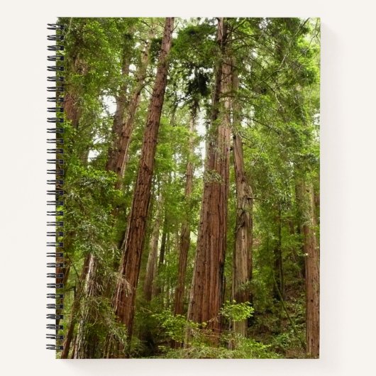 RedwoodsまでMuir Woods National Monument ノートブック (正面)