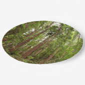 RedwoodsまでMuir Woods National Monument ペーパープレート (アングル)