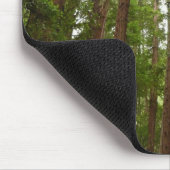 RedwoodsまでMuir Woods National Monument マウスパッド (コーナー)